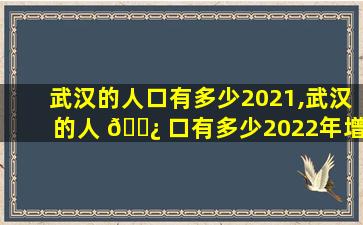 武汉的人口有多少2021,武汉的人 🌿 口有多少2022年增长